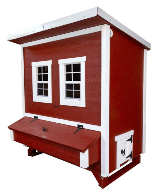 Walk In Chicken Coop