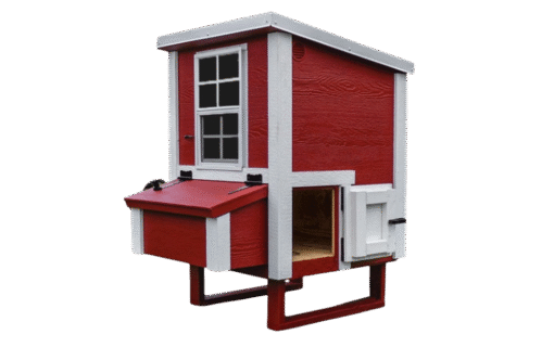 Small Chicken Coop